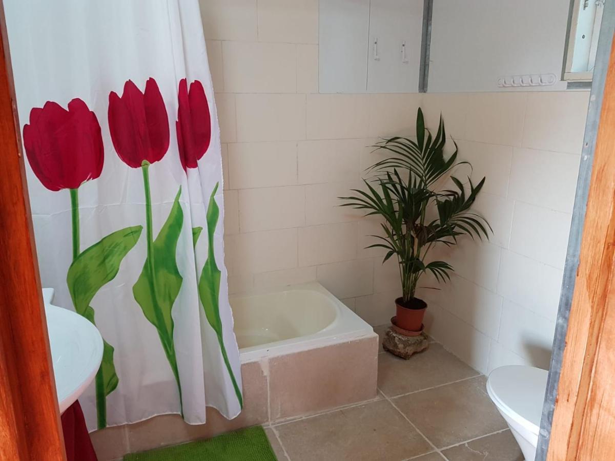 Apartamento יורט מונגולי Matzuva Exterior foto